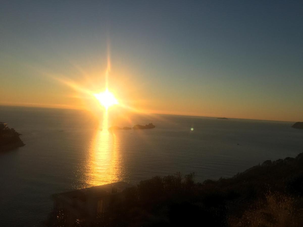 Concordia Apartments Dubrovnik Buitenkant foto